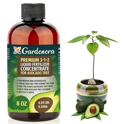 Premium Liquid Avocado Plant Fertilizer - 3-1-2 Concentrate for Indoor Plants and Flowers by Gardenera | Organic Plant Food for Avocado Trees - 8oz by GreenHaven Gardens