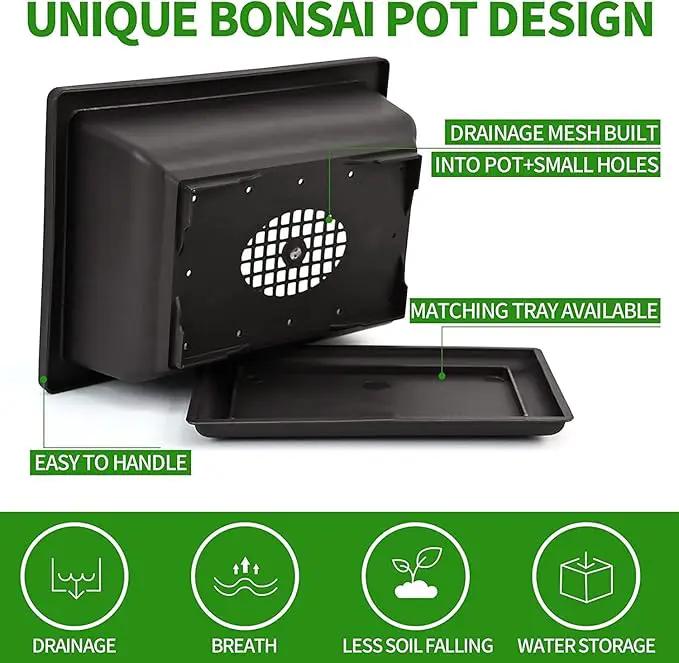 5 Bonsai Tree Kit Complete Plant Growing Tools, Grow in Pot Indoor Bonsai Tree Starter Kit, Great Home Gardening Potted Plants DIY Gift for Adults by GreenHaven Gardens