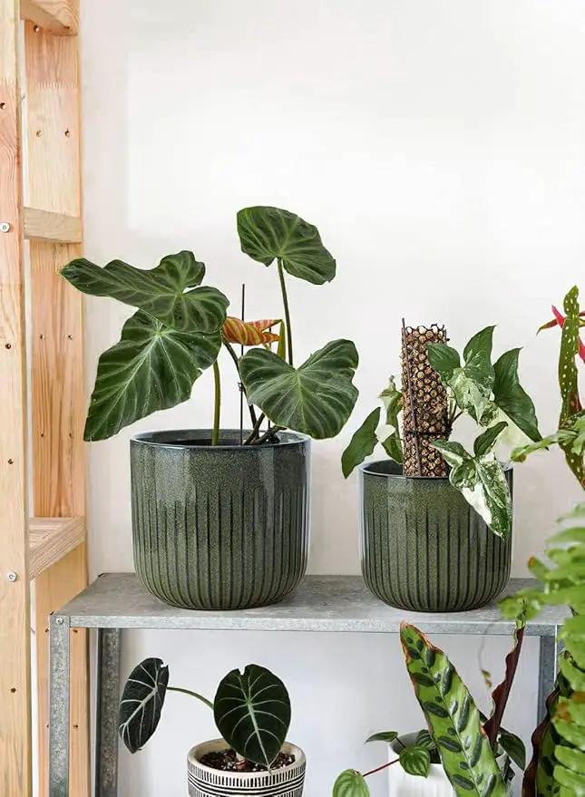 LE TAUCI Fluted Ceramic Planters Set of 3 – 8.3/7 / 5.7 in Dark Olive Reactive Cylinder Indoor Plant Pots with Drainage Plug & Mesh, Glossy Stoneware Flower Pots for Succulents Herbs by GreenHaven Gardens