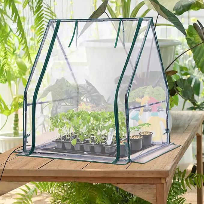 Mini Greenhouse for Indoor Outdoor: Ohuhu Tabletop Portable Green House with Waterproof Pad for Small Plants Nursery Germination, 36"x36"x42" Light Duty Cover Tent Humidity Dome Seedling Accessory by GreenHaven Gardens