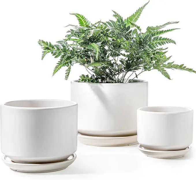 LE TAUCI Ceramic Plant Pots, 4.3+5.3+6.8 inch, Set of 3, Planters with Drainage Hole and Saucer, Indoor Flower Pot with Hole Mesh Pad, Gifts for Mom, White by GreenHaven Gardens