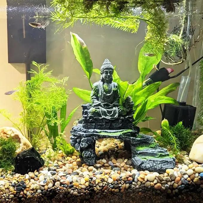 River Rocks 10 Lbs,0.4-1.2 Inch Pebbles for Indoor Plants, High Polished Stones for Garden Landscaping, Smooth Gravel Filler for Outdoor Plants, Succulents, Fish Tank and Vases by GreenHaven Gardens