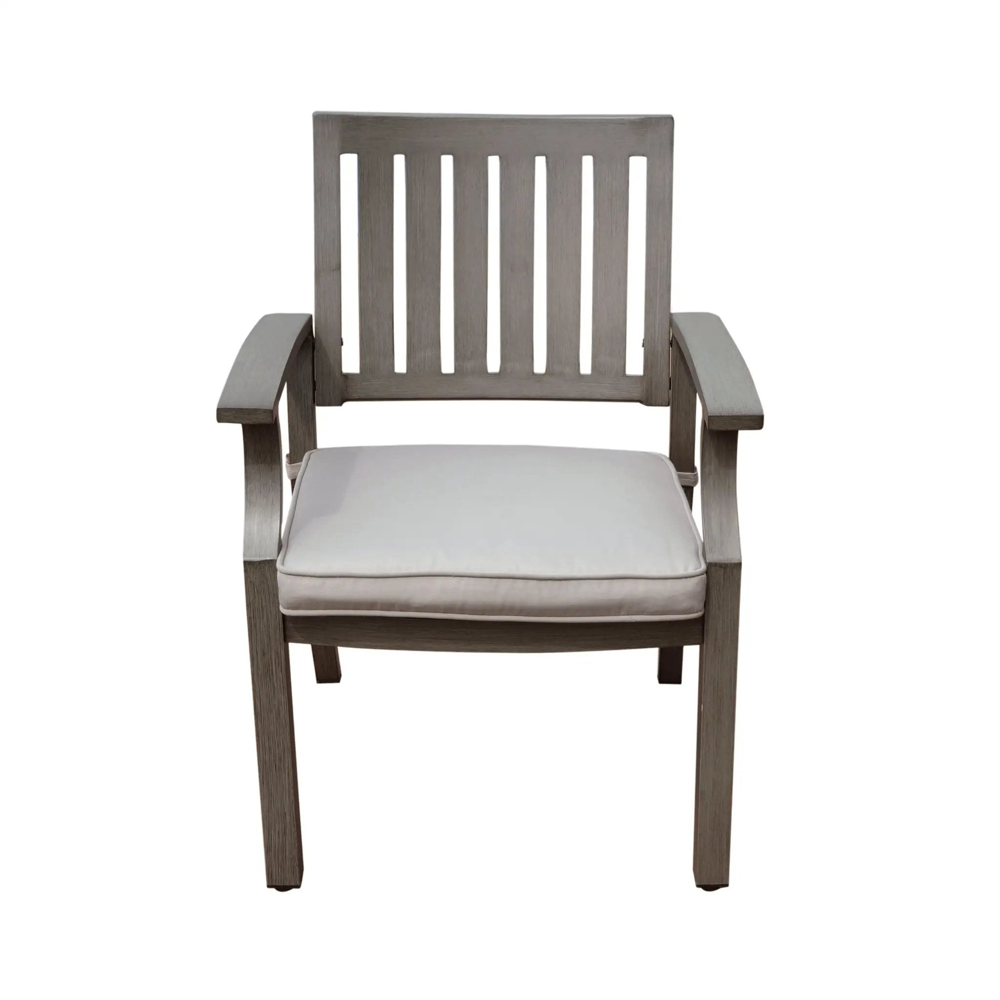 Outdoor Modern Aluminum Dining Chair with Cushion (Set of 2) by HouseOfZazla