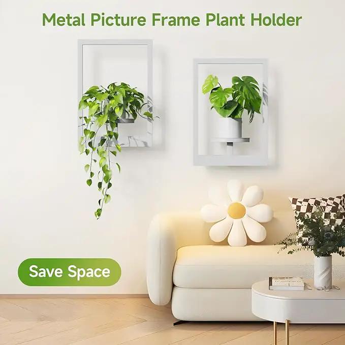 Picture Frame Wall Plant Holder, Metal Window Plant Shelves Plant Holder for Indoor Plants, Hanging Wall Planters Wall-Mounted Plant for Home, Office, and Garden (White, 2PCS) by GreenHaven Gardens