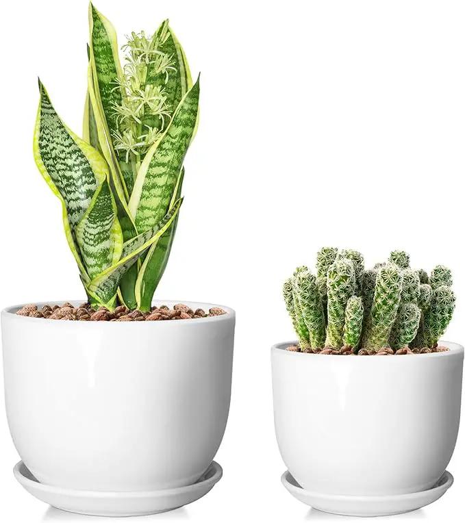 6.7 + 5.5 Inch Plant Pot, Ceramic Planter with Drainage and Saucer, Ceramic Pots for Plants, Indoor Plant pots,Succulent Pot Orchid Pots(Smooth White,Plant Pot Only) by GreenHaven Gardens