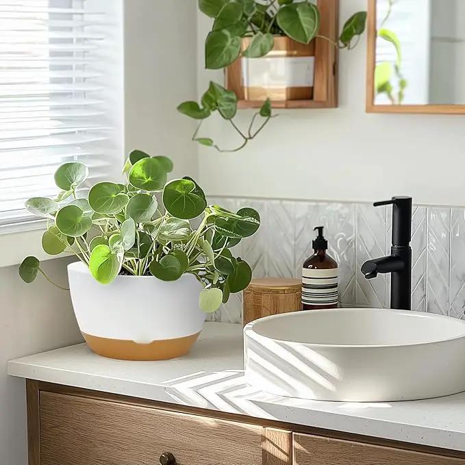 8 Inch Pots for Indoor Plants, Self Watering Planters with Drainage and Saucers, Plastic Outdoor Flower Pot, Set of 2, White by GreenHaven Gardens