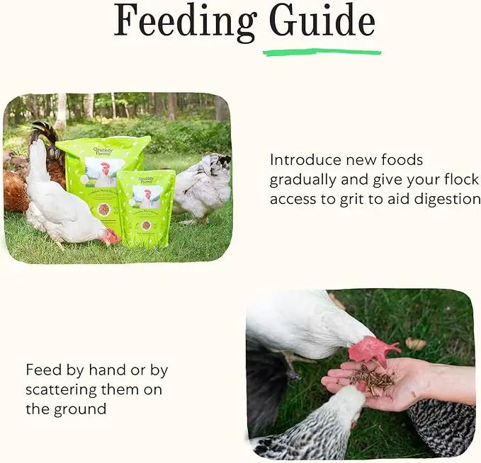 Grubblies - Switch from World Harvest to Hometown Harvest for Premium Chicken Nutrition - Grubblies World Harvest 5LB by GreenHaven Gardens