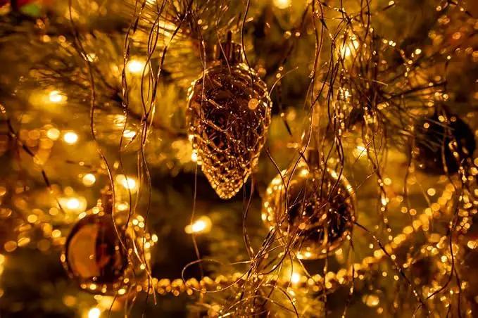 Outdoor String Lights, 1000 LED 328Ft Christmas Light with Remote, 8 Lighting Modes, Powered Plug for Wedding Party Garden Tree Yard Indoor Decorations by GreenHaven Gardens