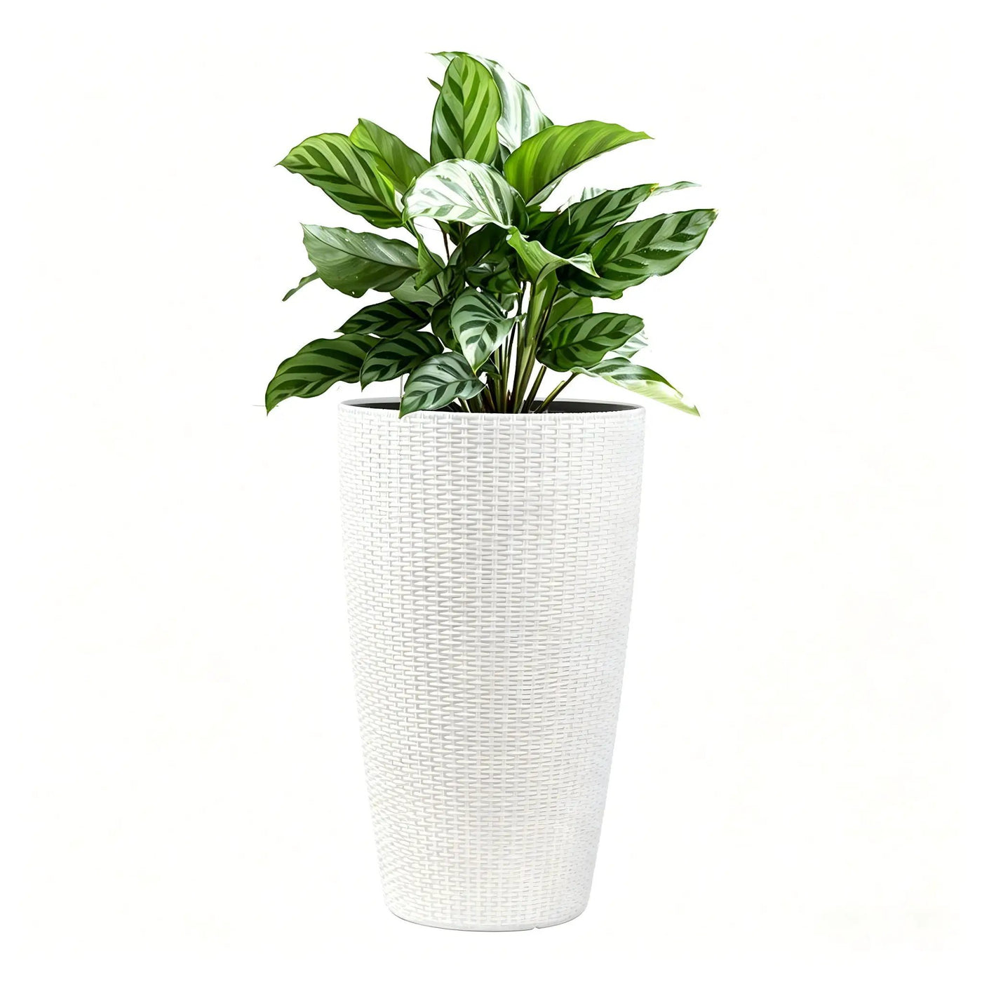 Tall Planters Set With Water Level Monitor And Auto Watering by HouseOfZazla