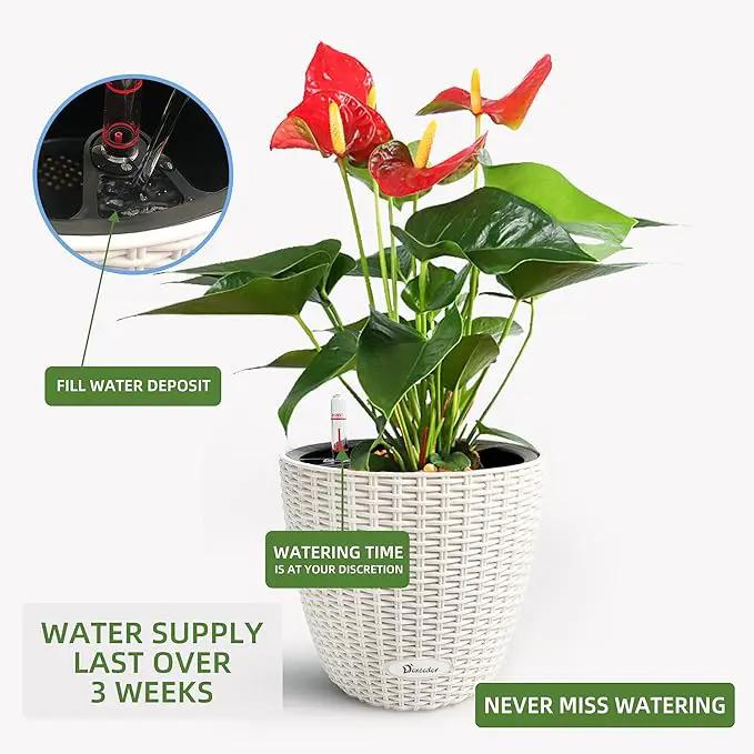 Dexceder 9x8 Inches Rattan Self Watering Planter Indoor Outdoor, Inner Pot Design, Thickened Table Flower Plant Pot with Water Level Indicator (Ivory White) by GreenHaven Gardens