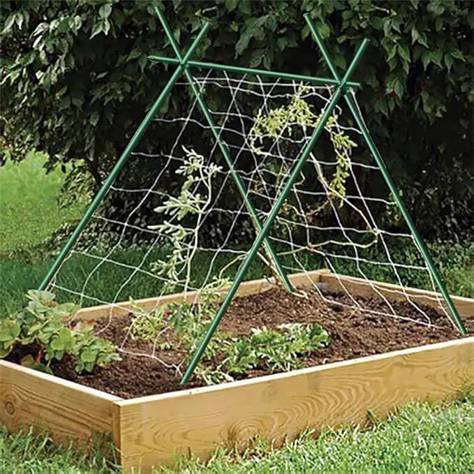 Garden Stakes 3/8" Dia 6 FT FRP Plant Supporting Stakes for Climbing Tomato Cucumber Strawberry Bean Tree, Pack of 10, Dark Green by GreenHaven Gardens