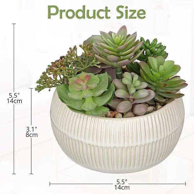 DILATATA Artificial Succulent Plants in Pot 5.5 Inch Fake Succulents Arrangement Potted Plant in White Ceramic Planter Bowl for Home Office Desk Shelf Living Room Bedroom Bathroom Decor by GreenHaven Gardens