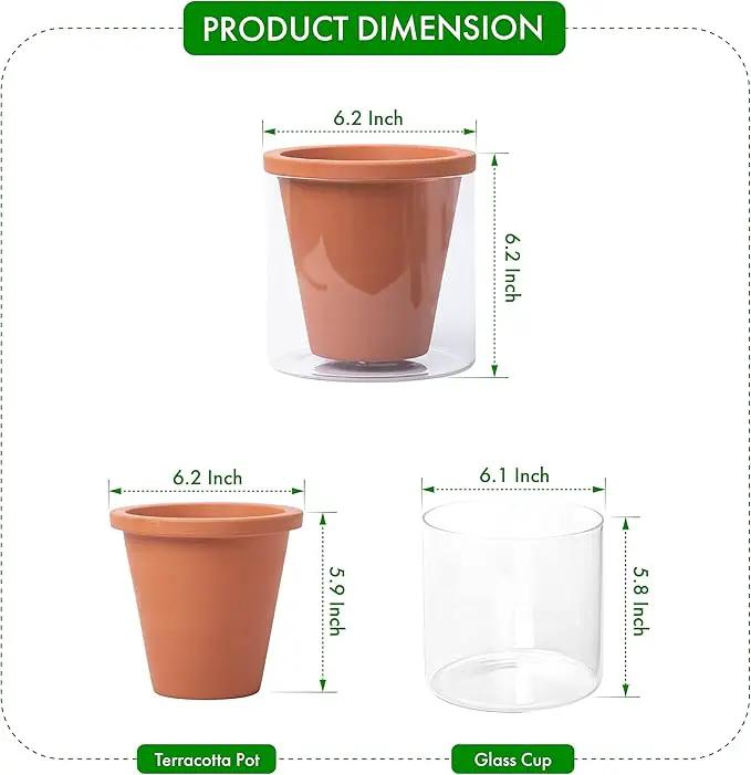 D'vine Dev 6 Inch Design Self Watering Pot for Indoor Plants, Terracotta Planter with Cylinder Glass Cup, Set of 2, 37-X-B-2 by GreenHaven Gardens