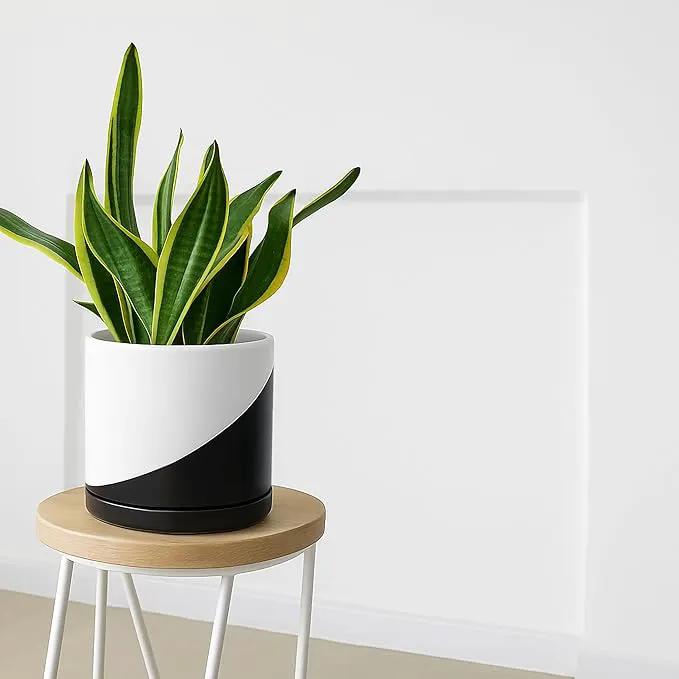 D'vine Dev 10 Inch Ceramic Planter Pot with Drainage Hole and Saucer, Indoor Cylinder Round Planter Pot, Oblique Monochrome Black and White, 94-O-E-K by GreenHaven Gardens