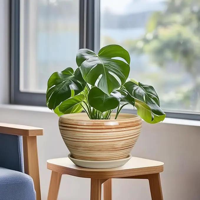 Indoor Planter 9 Inch - Ceramic Pots for Plants Plant Pot Indoor with Drainage Hole and Saucer Round Large Planter Modern Outdoor Flower Pot for House Patio Yellow by GreenHaven Gardens