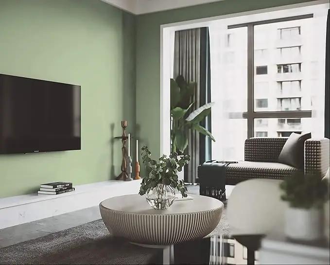 Dimoon 78.7''x17.3'' Green Skin Peel and Stick Wallpaper Contact Paper Modern Self Adhesive Wall Paper Removable Renter Friendly Textured Solid Color Vinyl Roll (78.7''x17.3'',Light Green Skin) by GreenHaven Gardens