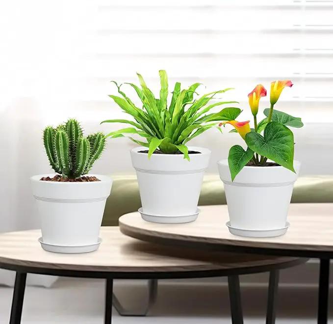 6 inch Small Plastic Nursery Pots, Seedling Pots, 16 Pack Plant Pots for Indoor Outdoor Plants, Flower Pots with Drainage Holes and Saucers, Decorative Planters for House Plants, White by GreenHaven Gardens