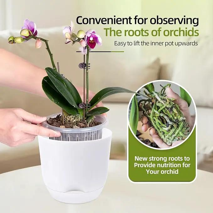 QCQHDU 2 Pack Orchid Pots with Holes for Repotting, Double-Layer and Self Watering Orchid Pot with Good Air Circulation by GreenHaven Gardens