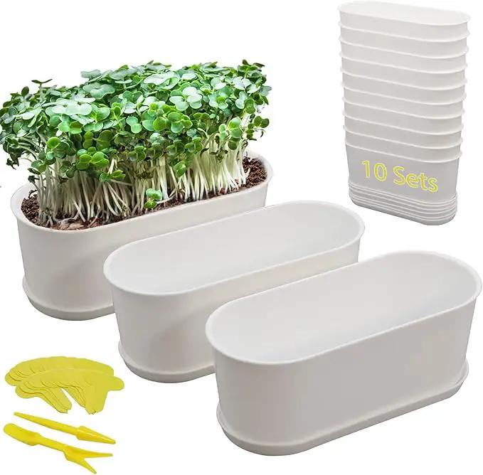 10-Pack Herb Planter with Saucer for Plant Window Box, Plastic Planter with Multiple Drainage Holes and Tray for home Garden Succulents Modern Decorative Window Planter Box Flower Pots Gardening Pot by GreenHaven Gardens