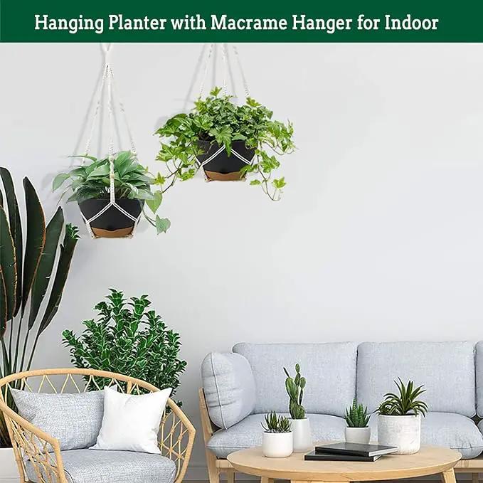 Hanging Planter Self Watering 10 Inch, 2 Pack Indoor Outdoor Hanging Baskets, Hanging Flower Pots with Drainage Hole & 2 Kinds of Plant Hangers for Garden Home Decor(Grey)… by GreenHaven Gardens
