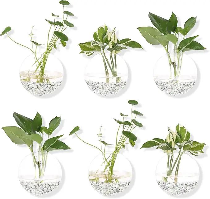 Pack of 6 Glass Planters Wall Hanging Planters Round Glass Plant Pots Hanging Air Plant Pots Flower Vase Air Plant Terrariums Wall Hanging Plant Container by GreenHaven Gardens