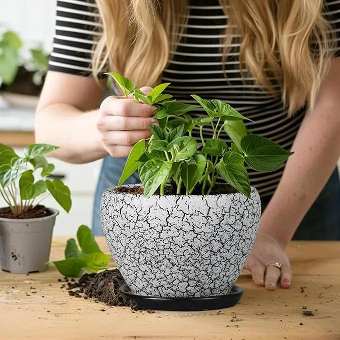 Ceramic Planter Pot - 6 Inch Plant Pot with Drainage Hole and Saucer, Succulent Pot Glaze Round for Indoor Outdoor Plants, White and Black by GreenHaven Gardens