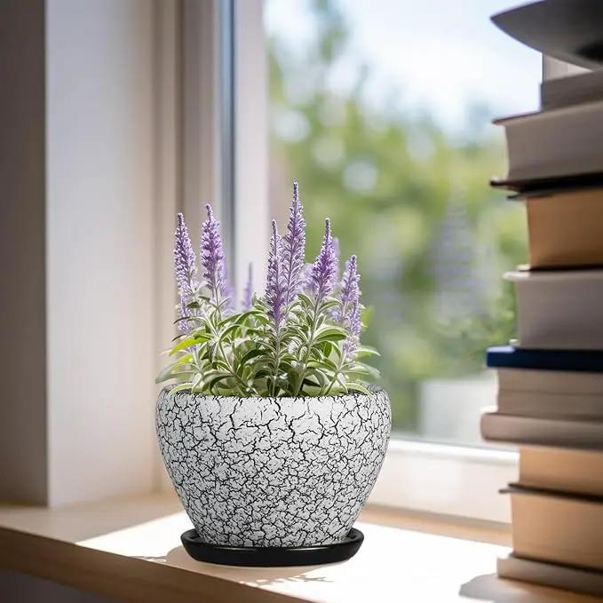 Ceramic Planter Pot - 6 Inch Plant Pot with Drainage Hole and Saucer, Succulent Pot Glaze Round for Indoor Outdoor Plants, White and Black by GreenHaven Gardens