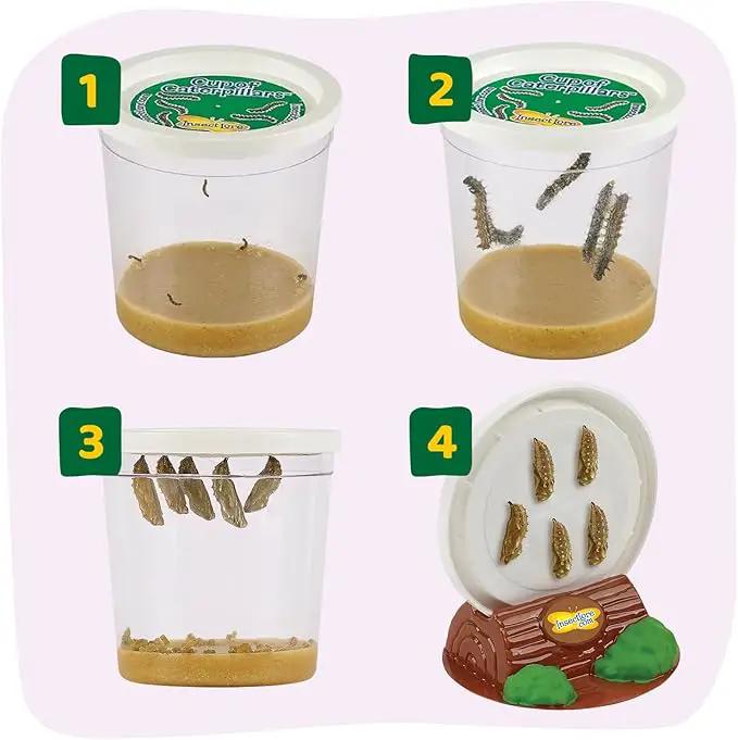 Insect Lore Butterfly Farm - Live Cup of 5 Caterpillars, Reusable Habitat, STEM Butterfly Activity Journal & Supplies - Grow, Observe and Release Painted Lady Butterflies by GreenHaven Gardens
