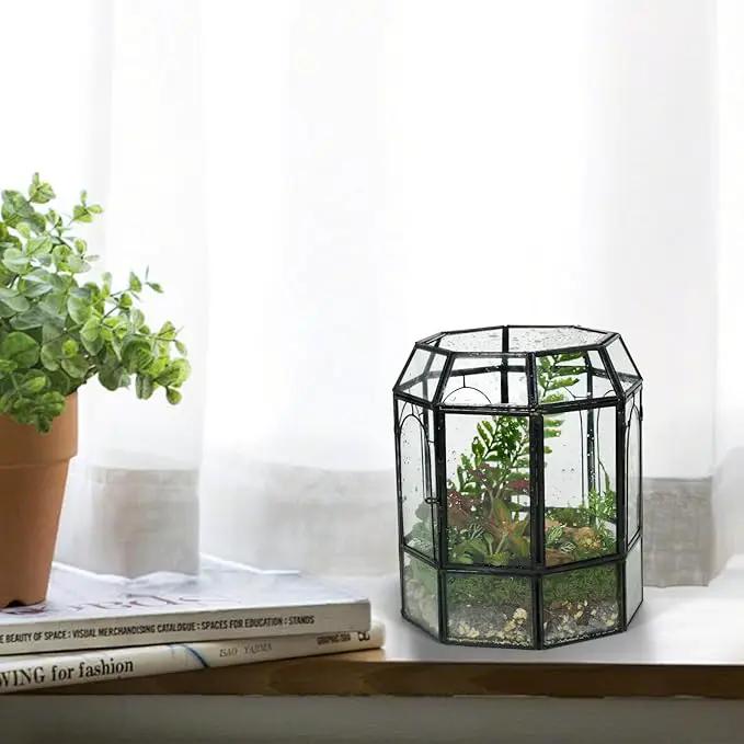 Ferrisland Glass Terrarium Plants with Lid, Black Geometric Terrarium Jar for Succulent Air Carnivorous Plant Moss Snail, Birdcage Shape Tabletop Greenhouse Indoor Decor DIY Presents (Only Terrarium) by GreenHaven Gardens