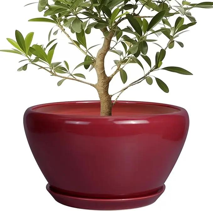 Ceramic Planter - Indoor Plant Pot with Drainage Hole and Saucer 13 Inch Large Pots for Plants Round Modern Outdoor Flower Pot Mid-Century Patio Room Decor Red by GreenHaven Gardens