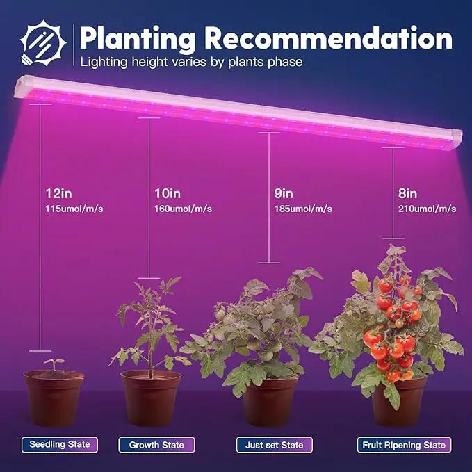 FREELICHT 1 Pack 4FT LED Grow Light, 40W (250W Equivalent), Red Blue (660nm+460nm) Full Spectrum Grow Light for Indoor Plants, Linkable Plug in Plant Growing Lamps for Hydroponic Seeding Veg Flower by GreenHaven Gardens