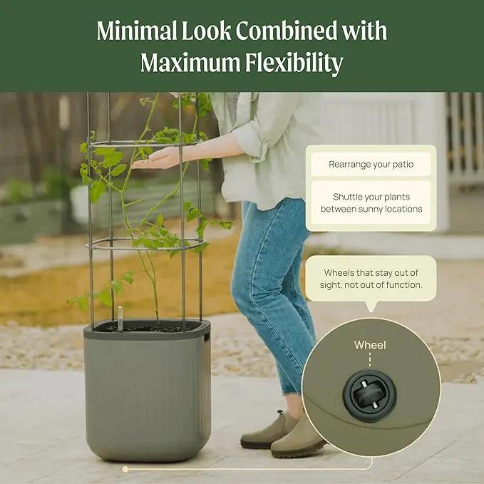 Vego garden Self Watering Pots Home Planters with Water Gauge for Effortless Indoor Plants Fog Gray by GreenHaven Gardens