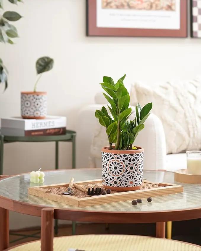 Ceramic Flower Pots for Indoor Plants Set of 2, 5 Inch Boho Plant Pot with Drainage Holes,Modern Planter for Decora Succulents/Snake Plant/Orchid/Peace Lily/House Plants,Terracotta by GreenHaven Gardens