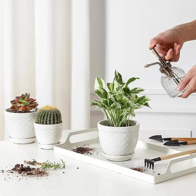 Sureasy Succulent Pots, 3.5 Inch Flower Pots for Indoor Plants, Small Plant Pots with Saucer & Drainage, Decorative Ceramic Planters for Succulent, Cactus, Set of 4, White by GreenHaven Gardens