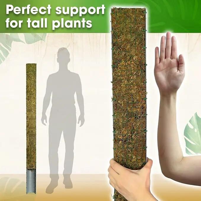 DUSPRO 59’’ D-Shape Moss Pole for Climbing Plants Monstera Moss Plant Pole Handmade Moss Stick for Indoor Plants Grow Upward (59'', 1pc.) by GreenHaven Gardens