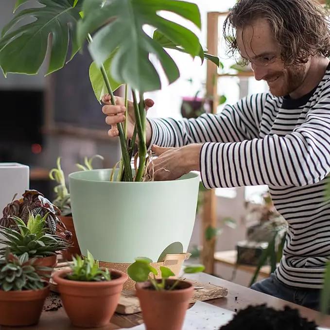 Indoor Pot For Plants 3 Pack 12/10/9 Inch Self Watering Pot For Lazy People,Self Watering Pots For Indoor Plants,Outdoor Pots For Succulent, African violets And Cactus Green Plastic Flower Pots by GreenHaven Gardens