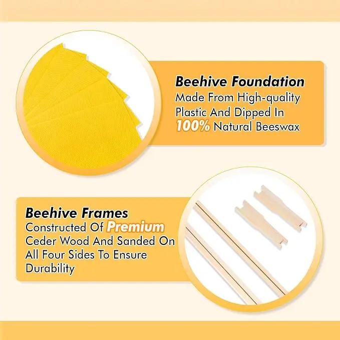 POLLIBEE 10 Frame Langstroth Beehive, Beeswax Coated Bee Hives for Bee Keeper,Beehive Include 2 Deep Bee Boxes and 1 Medium Bee Hive Box with Frame and Foundation(Unassembled) by GreenHaven Gardens