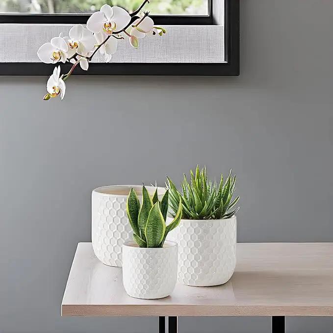 Docrin Plant Pots Indoor with Drainage: 6.4+5.3+4 Inch Ceramic Flower Pots for Plants - Set of 3 Modern Decorative Planters for House/Office/Gift - White Honeycomb by GreenHaven Gardens