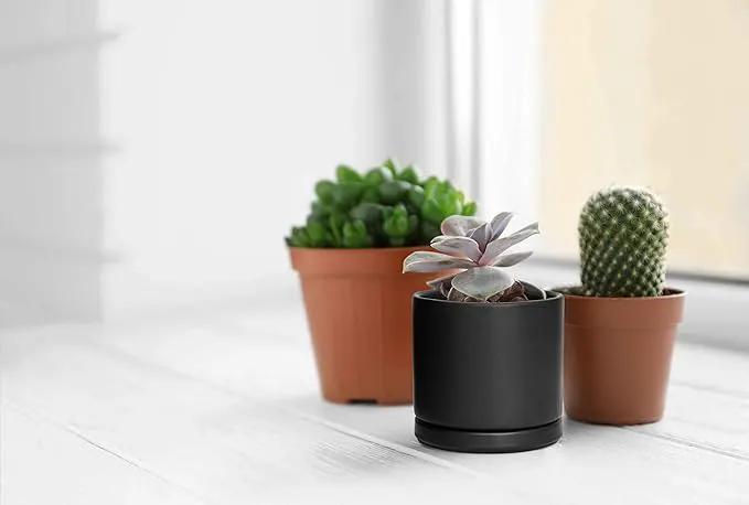 D'vine Dev Ceramic Planter Pot with Drainage Hole and Saucer, Indoor Cylinder Round Flower Pot, 4.6 Inch, Black, 94-O-B-2 by GreenHaven Gardens