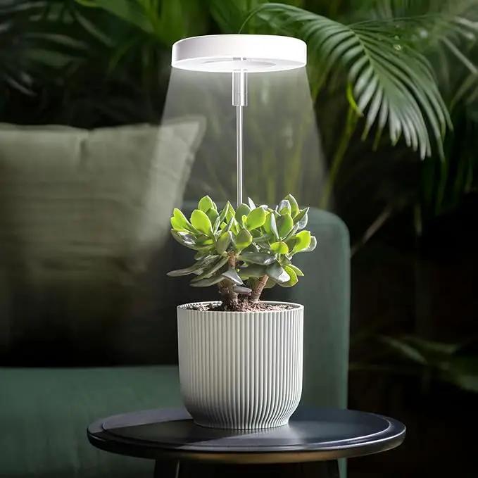 Grow Lights for Indoor Plants Small Potted - Full Spectrum, Auto 3/9/12H Timer, 10-Level Dimming & Adjustable Height - Compact Grow Light for Succulents, Herbs, Foliage in Home/Office (White,3PACKS) by GreenHaven Gardens