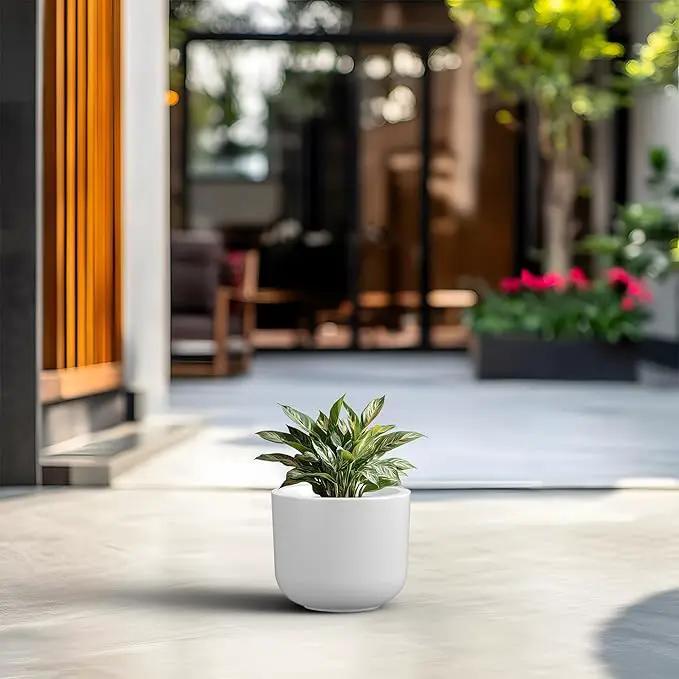 Kante Round Concrete Planter, 9 Inch Dia Classic Style Large Plant Pot with Drainage Hole for Indoor & Outdoor Plants, Ideal for Home, Patio, Garden, White by GreenHaven Gardens