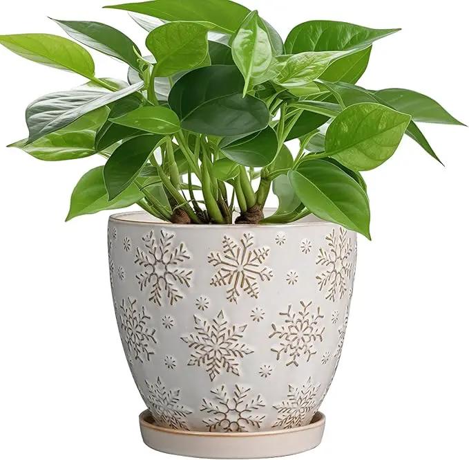 6 Inch Plant Pot with Drainage Hole and Saucer Ceramic Planter for Indoor Plant Flower Pot for Orchid Succulents Plants White by GreenHaven Gardens