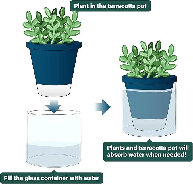 D'vine Dev 4 Inch Design Self Watering Planter for Indoor Plants, Blue Terracotta Pot with Cylinder Glass Cup, Set of 3, 37-Z-A-4-T by GreenHaven Gardens