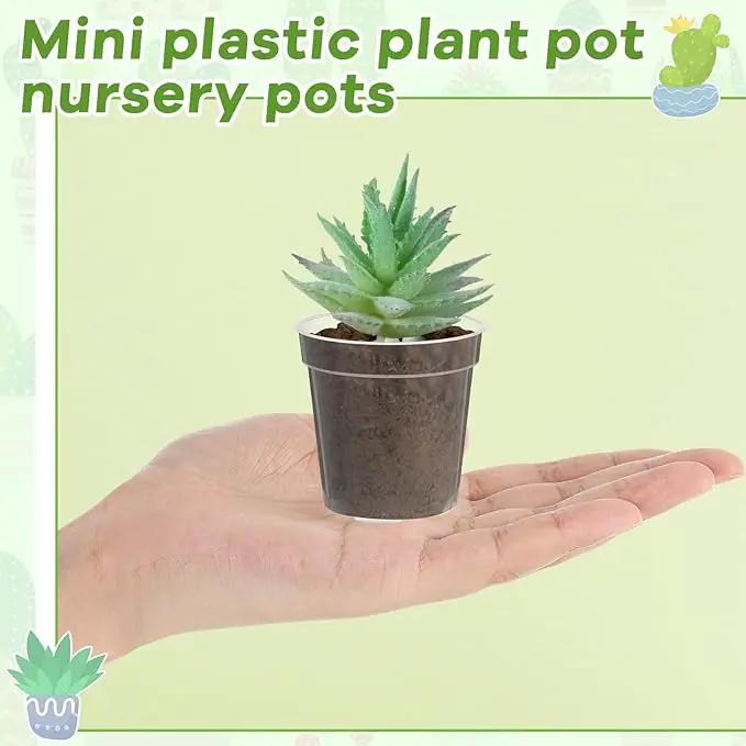 Yaomiao 200 Pcs 2 Inch Clear Mini Plastic Plant Pot Nursery Seedling Pots Seed Starter with Drainage Holes for Indoor Outdoor Garden Succulent Plants Cuttings Transplanting by GreenHaven Gardens
