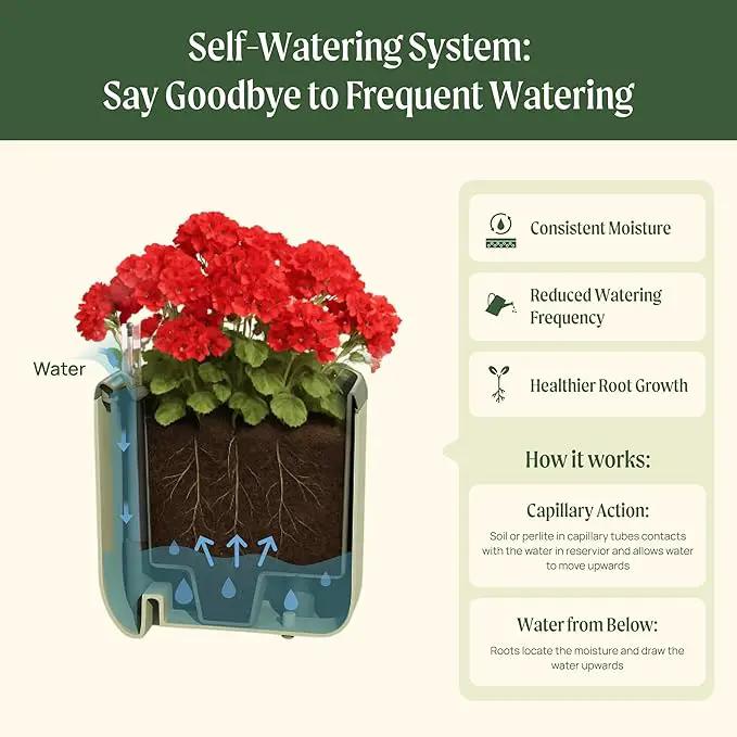 Vego garden Mini Planter Indoor Pots with Trellis Self-Watering Herb Countertop Planter for Climbing Vegetables Flowers Mint Plants Cage- Sage Green by GreenHaven Gardens