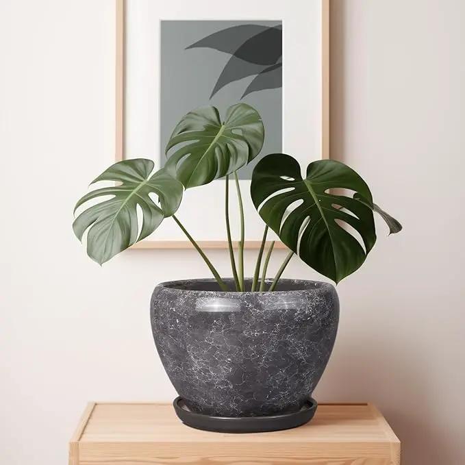 Ceramic Planters for Indoor Plants - 10 Inch Plant Pot with Drainage Hole and Saucer, Large Flower Pot for Home Decor, Gray by GreenHaven Gardens