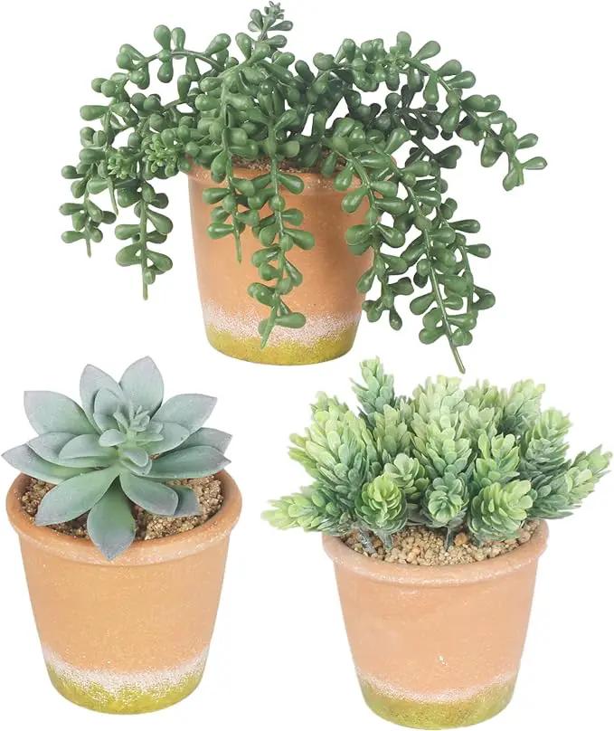 3 Pcs Artificial Succulent Plants Potted False Succulent Plants Potted Faux Potted Plant Family Office Bookshelf Decor by GreenHaven Gardens