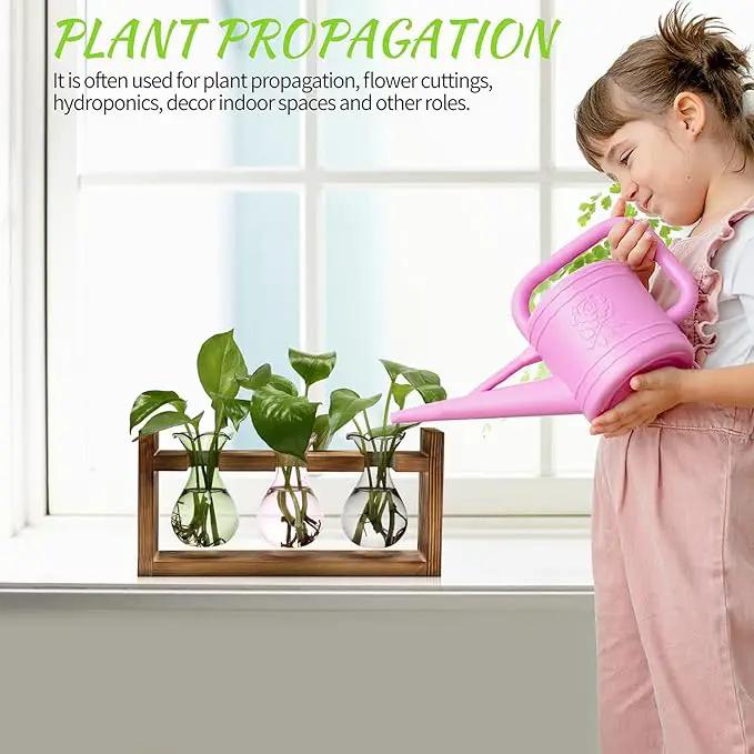 Plant Propagation Station Plant Terrarium Unique Birthday Gifts for Women Plant Lovers Home Office Decor Planter with Wooden Stand - 3 Bulb Glass Vase by GreenHaven Gardens