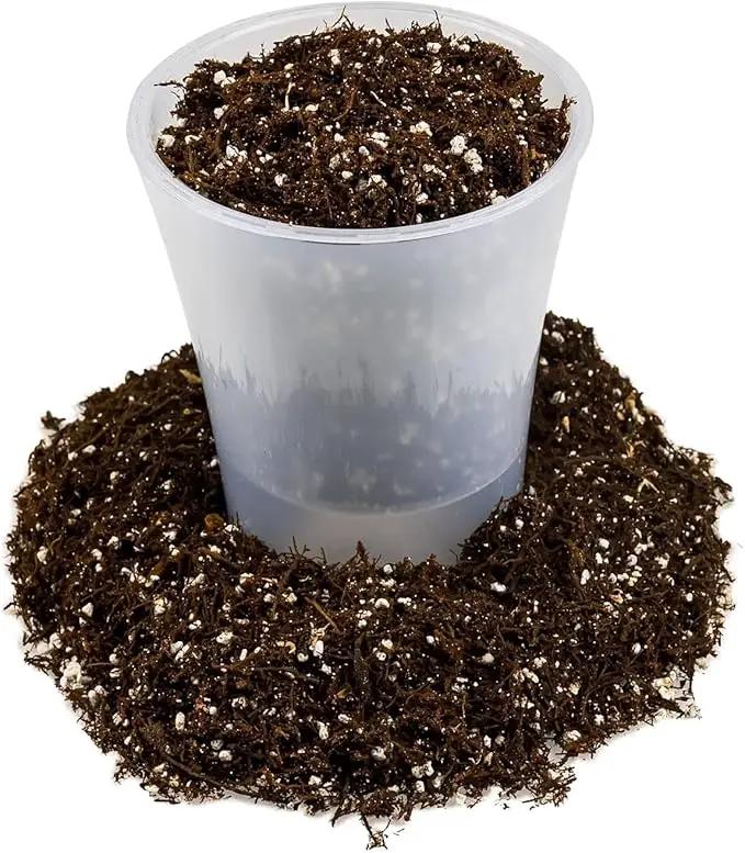Fern + Perlite Soil Mix - 10 Quart - for Repotting and Planting Succulents and Cactuses (4 Bags of 5 Quart) by GreenHaven Gardens