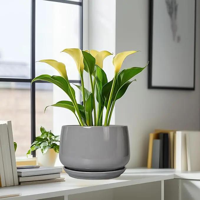 G EPGardening Ceramic Plant Pots - 9 Inch Modern Round Planter with Drainage and Plant Saucer for Indoor Outdoor Flower, Apartment Decor, Birthday Gifts, Grey by GreenHaven Gardens